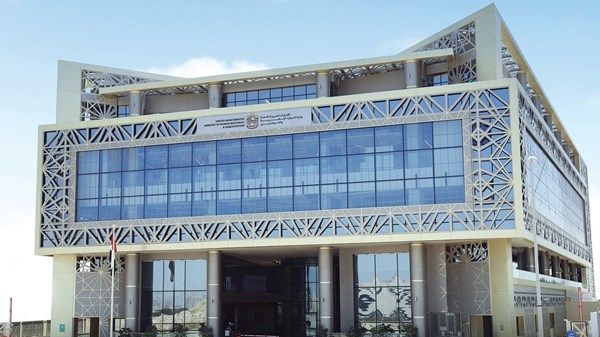 "الموارد البشرية والتوطين": نمو مشاركة المرأة في القطاع الخاص بالدولة بنسبة 23.1%