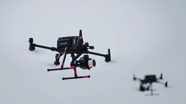 «الدرون» ترمم أشجار القرم في أبوظبي