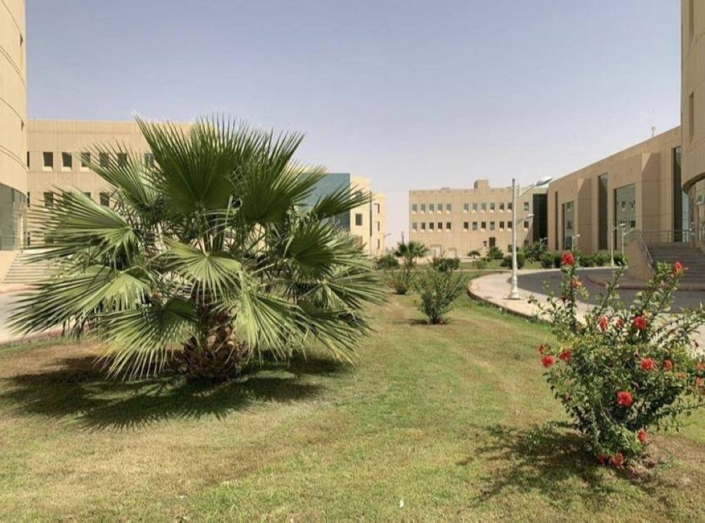50 ألف شجرة بجامعة نجران