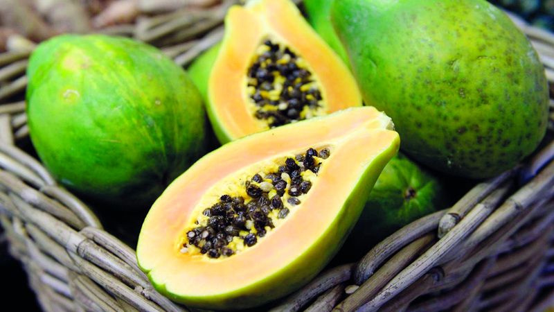 الامارات | فاكهة البابايا.. كنز من الفيتامينات والمعادن