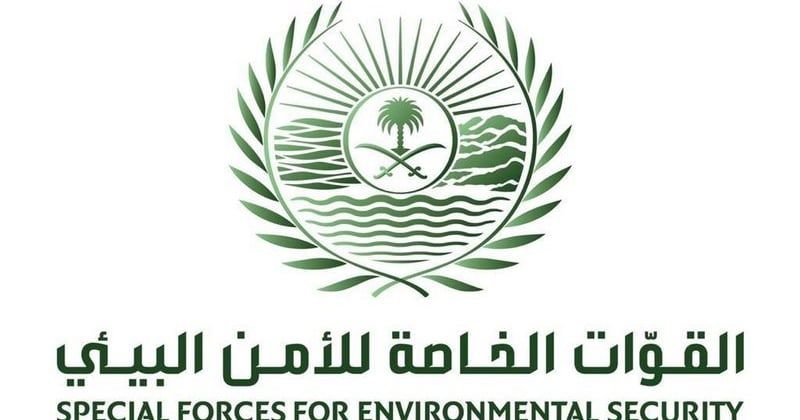 "47 قرش شعاب ذي طرف أسود".. ضبط مقيميْن بـ"الشرقية" يبيعان كائنات بحرية مهددة بالانقراض