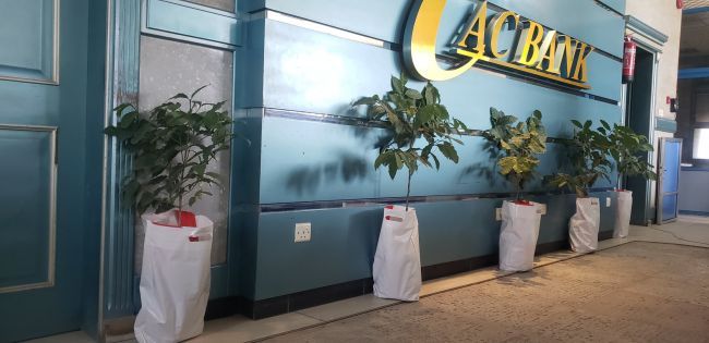 تواصل الاستعدادات النهائية لانطلاق المعرض الوطني الأول للبن في عدن برعاية ماسية من "كاك بنك"