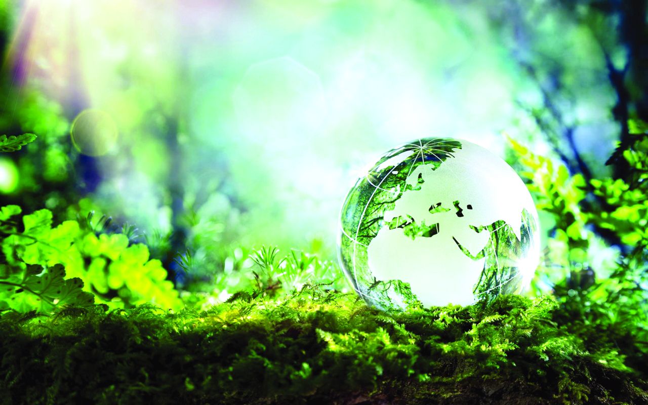 الامارات | المزروعي: منهج "أخضر" يتم تدريسه لطلبة المدارس قريباً