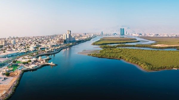 «فن رأس الخيمة» ينطلق في فبراير