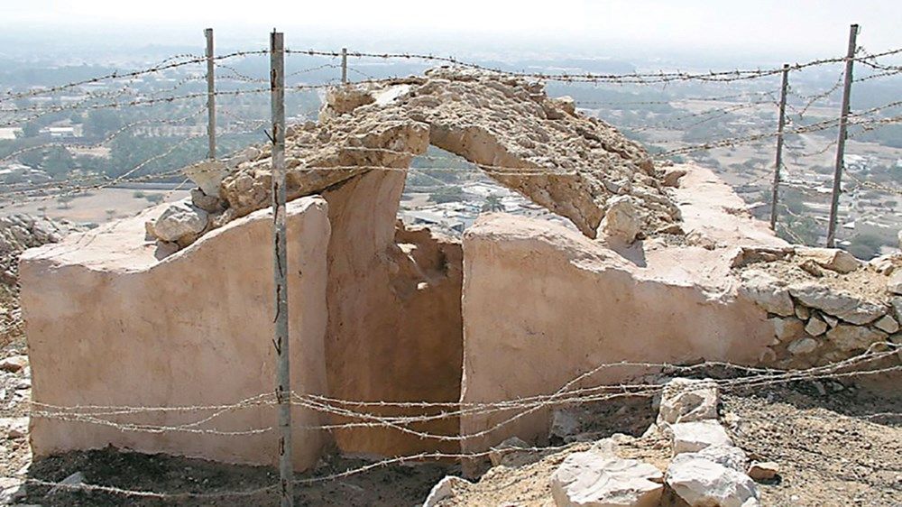 قصر زنوبيا.. تاريخ يقصده السياح صيفاً وشتاءً