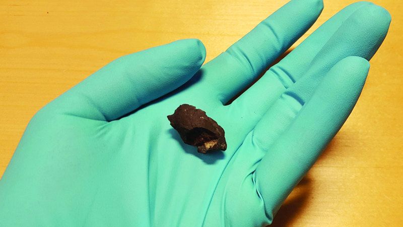 الامارات | علكة ممضوغة قبل آلاف السنين تكشف ألغازاً في السويد