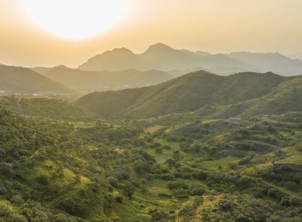 اتفاقية بين "الغطاء النباتي" ووزارة الداخلية لتشجير أكثر من 470 موقعًا بالمملكة