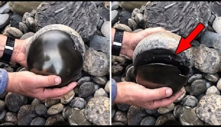 إذا وجدت هذ البيضة.. خذها إلى المنزل على الفور فما ستجده بداخلها كنز لا يقدر بثمن !