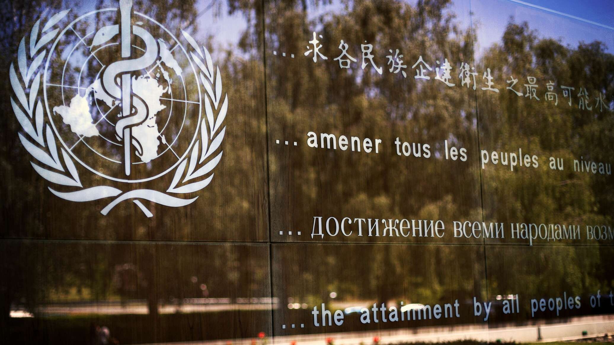 "الصحة العالمية" ترفض مزاعم إسرائيل بشأن "التواطؤ" مع "حماس": اتهامات تعرض موظفينا للخطر