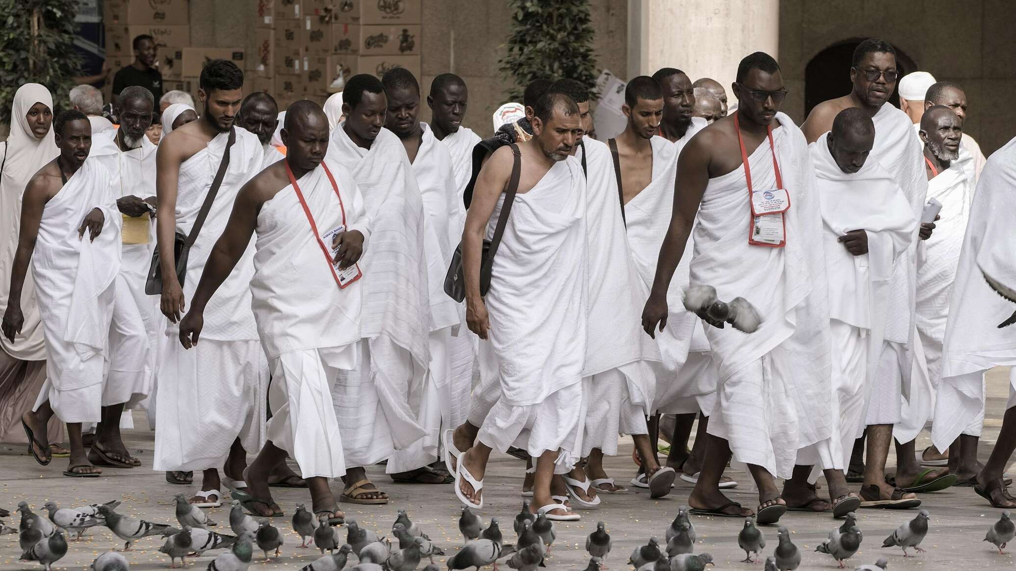 هيئة السياحة السعودية: نعمل على زيادة الخيارات المتاحة أمام المعتمرين