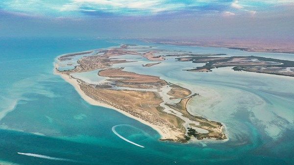 «جزر أم القيوين».. تنوّع بيئي وموائل طبيعية