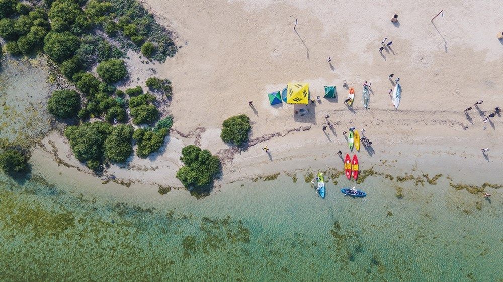 «جزر أم القيوين».. تنوّع بيئي وموائل طبيعية