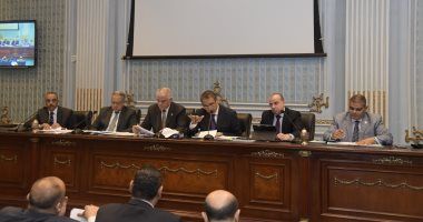 البحوث الزراعية للنواب: 50 محطة بحثية لرفع إنتاجية محصول قصب السكر