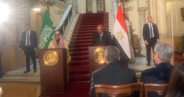 وزير الخارجية يؤكد ضرورة الوقف الفورى لإطلاق النار فى غزة