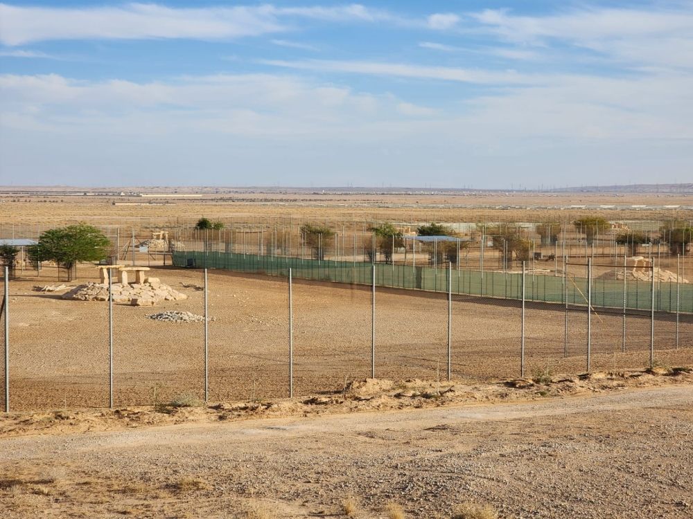 6 برامج تخصصية لإثراء التنوع الأحيائي وتعزيز التوازن البيئي