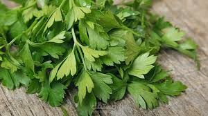 عشبة تنظف الكبد من السموم وتعالجك من السعال والزكام في دقائق وتعتبر الحل الأمثل للروماتيزم!