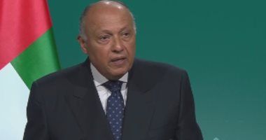 مصر تدين الهجوم الإرهابى على موقع أردنى بالحدود مع سوريا