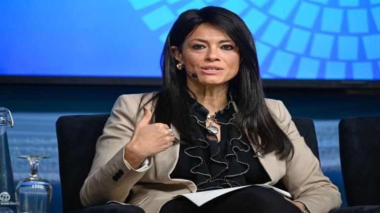 مجلس النواب يوافق على 3 اتفاقيات للتعاون الدولي.. والمشاط تعلق