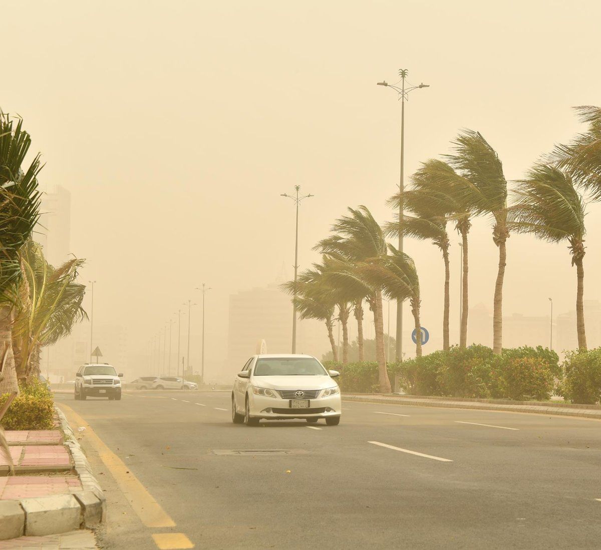 سرعتها 40 - 49 كم/ساعة.. رياحٌ شديدة على الباحة