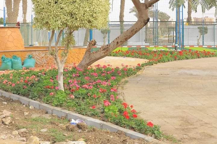 هيئة نظافة القاهرة تنشئ حدائق جديدة بمحور الحضارات.. صور