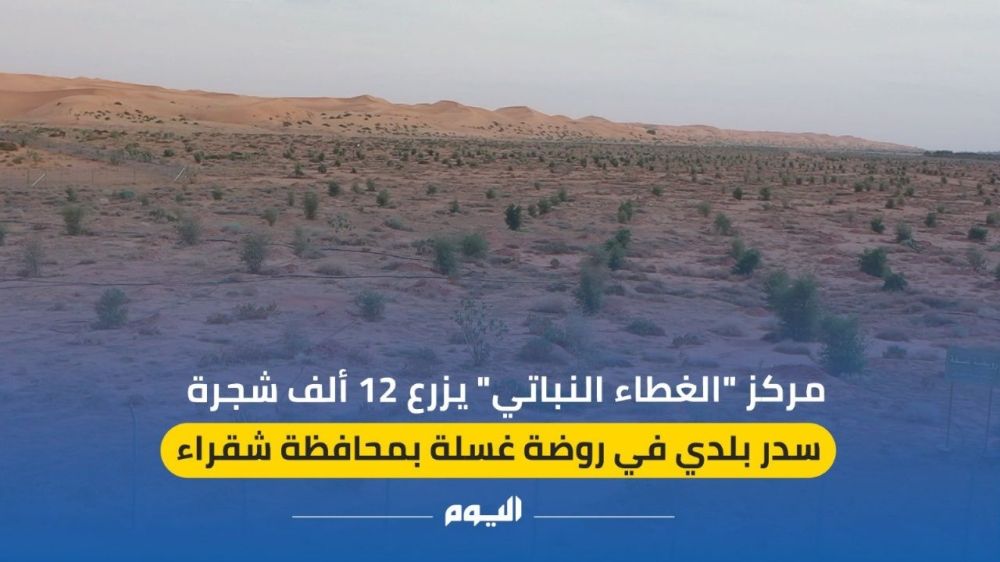 فيديو| مركز ”الغطاء النباتي“ يزرع 12 ألف شجرة سدر بلدي بمحافظة شقراء