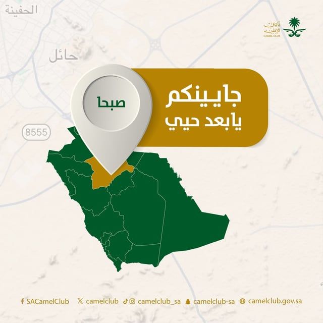 حائل.. "نادي الإبل" يحدّد منطقة صبحا موقعًا لإقامة "مهرجان جادة الإبل"