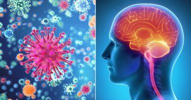 أعراض التهاب السحايا تشبه البرد.. اعرف خطورته وطرق الوقاية