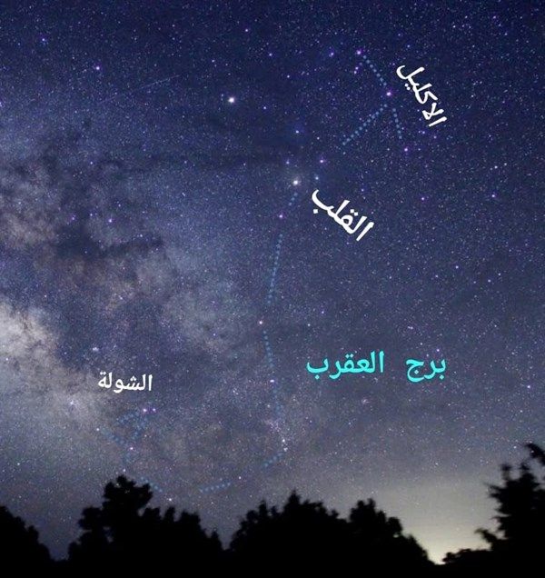 "الإمارات للفلك": الأربعين العقربي يبدأ 6 فبراير