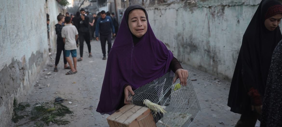 الراحمون يرحمهم الله.. فتاة فلسطينية تهرب من القصف وتنقذ عصفورها معها