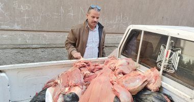 ضبط 24 طن لحوم ودواجن غير صالحة للاستهلاك الآدمى فى الجيزة.. صور
