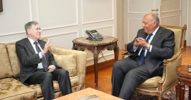 وزير الخارجية يبحث مع مسئول أمريكى جهود نفاذ المساعدات لقطاع غزة