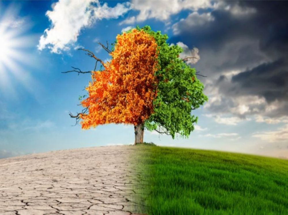 تفاصيل استضافة المملكة مؤتمر "COP 16" لمكافحة التصحر ديسمبر المقبل