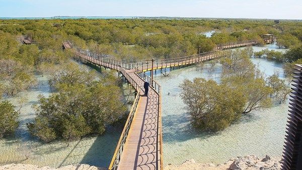 متنزه قرم الجبيل.. «وجهة» توفر خيارات الترفيه والتعلم