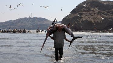 الخليج اليوم .. تركوا موانيها.. هجمات الحوثي تحرم صيادي الحديدة لقمة العيش