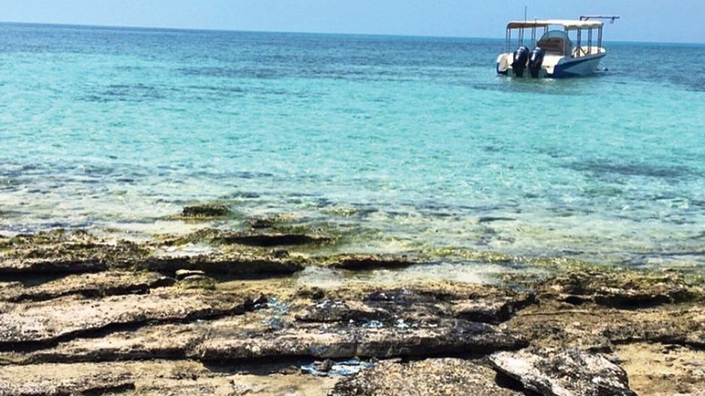 «جزر الإمارات السياحية».. لآلئ ساحرة تستقطب عشاق المغامرات والحياة البرية