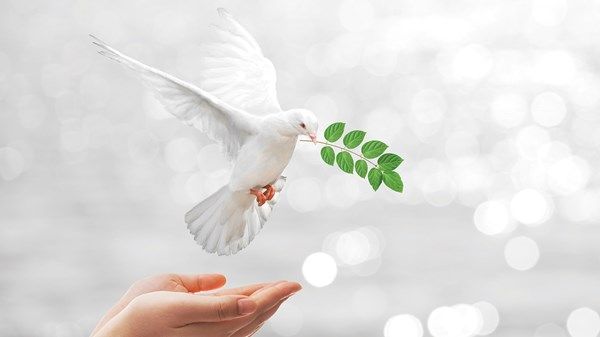 غداً.. الإمارات تحتفي باليوم العالمي للأخوة الإنسانية