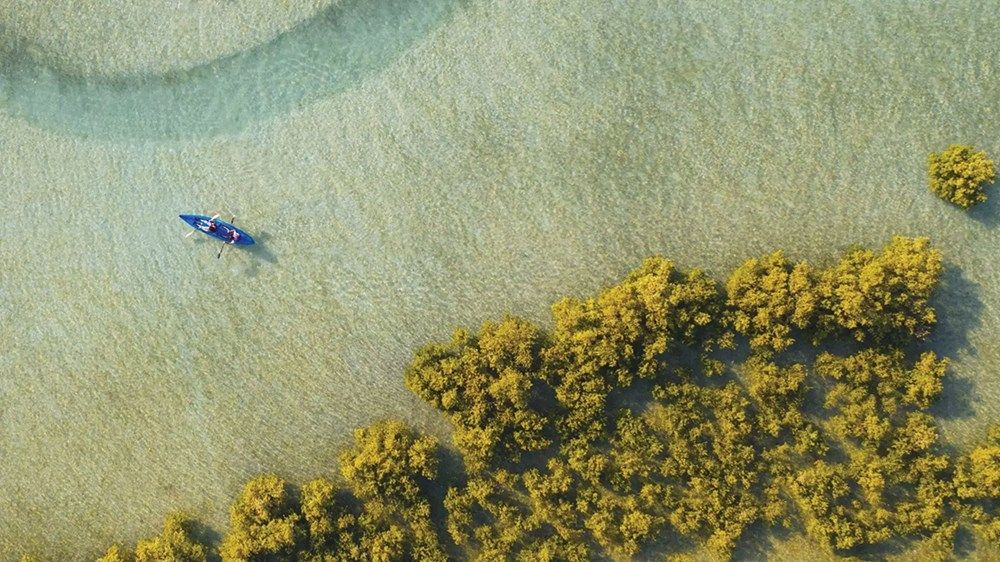 «جزر الإمارات السياحية».. لآلئ ساحرة تستقطب عشاق المغامرات والحياة البرية
