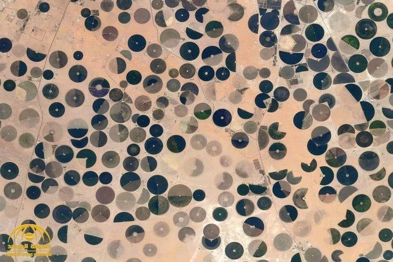 صور غريبة للسعودية من الفضاء تُثير حيرة رائد فضاء فرنسي.. شاهد المفاجأة ؟ وما هو تفسير ها؟