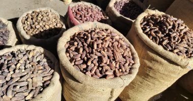 رمضان يطرق الأبواب.. فروشات الياميش والبلح تملأ سوق الساحل بالقاهرة (صور)