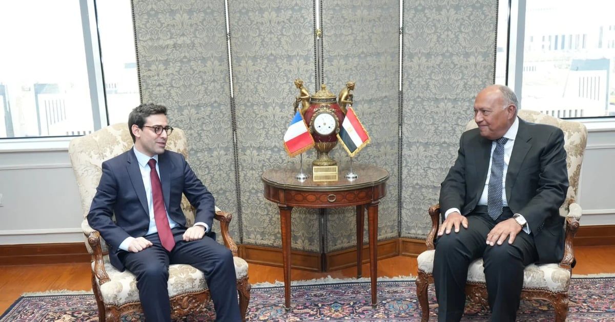 مصر تدعو إلى وقف حرب غزة وتحديد إطار زمني لإقامة الدولة الفلسطينية