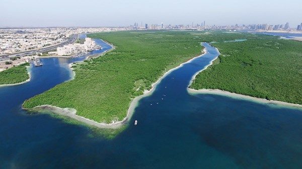 خبراء دوليون: الإمارات رائدة في مواجهة التحديات البيئية