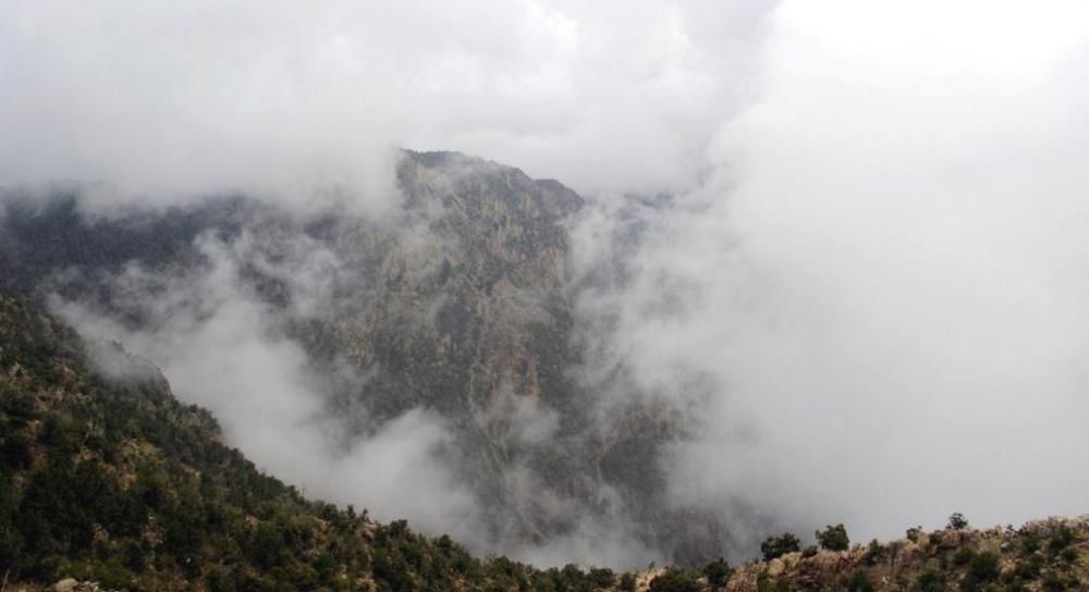 إنذار باللون الأحمر.. ضباب كثيف وانعدام للرؤية بعسير