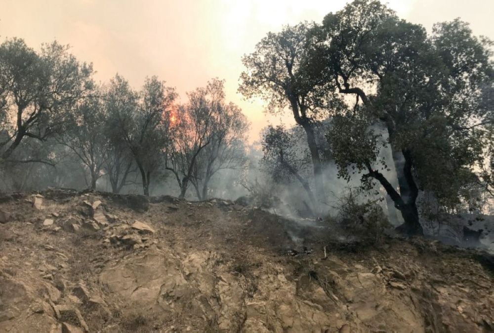 موجة حارة تجتاح أستراليا وارتفاع مخاطر حرائق الغابات