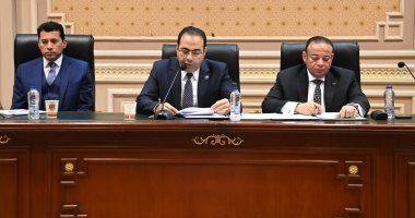 رياضة النواب تنتقد القصور فى صيانة الملاعب.. والوزير يرد: نستهدف أعلى مستوى