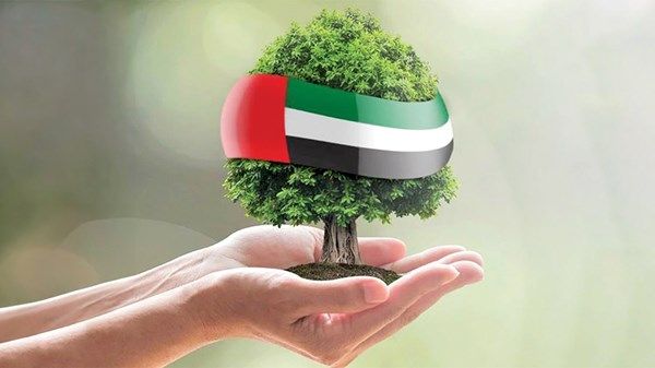 «الاستدامة».. نهج الإمارات في غدٍ أفضل للبيئة بـ 2024