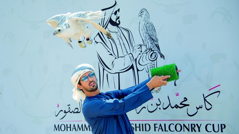 الامارات | «كأس محمد بن راشد» تجتذب نخبة الصقارين