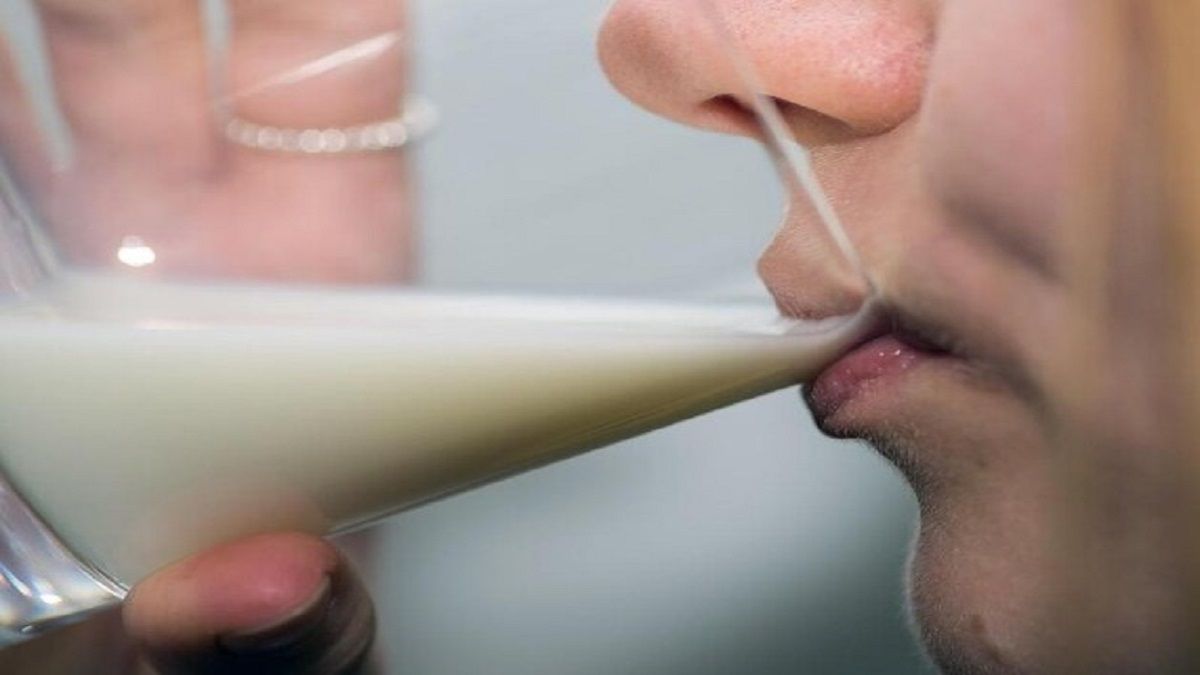 الامارات | فوائد حليب الماعز.. كنز من الفيتامينات للصحة والجمال