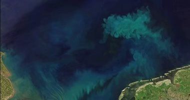 تكنولوجيا: تحذير.. الحكومات تنفق 22 مليار دولار لمساعدة صناعة تضر بالمحيطات