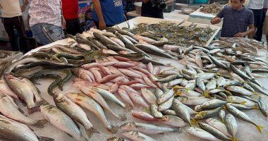 تعرف على أسعار الأسماك اليوم الإثنين فى أسواق الجملة