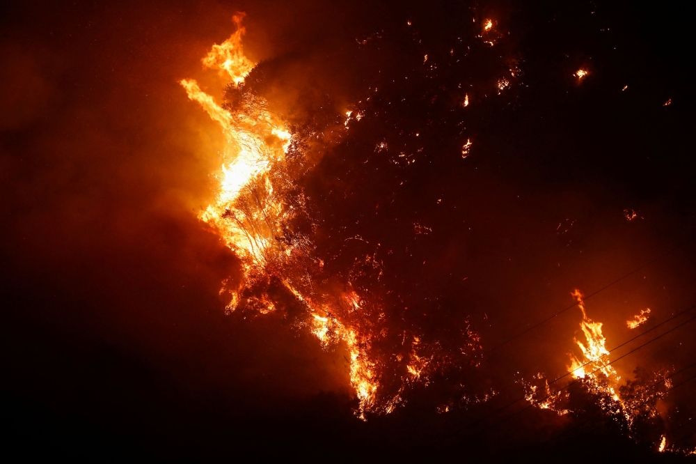 مصرع 64 شخصًا في حرائق الغابات في تشيلي